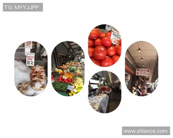 波特兰与西雅图对决分析及推荐策略分享